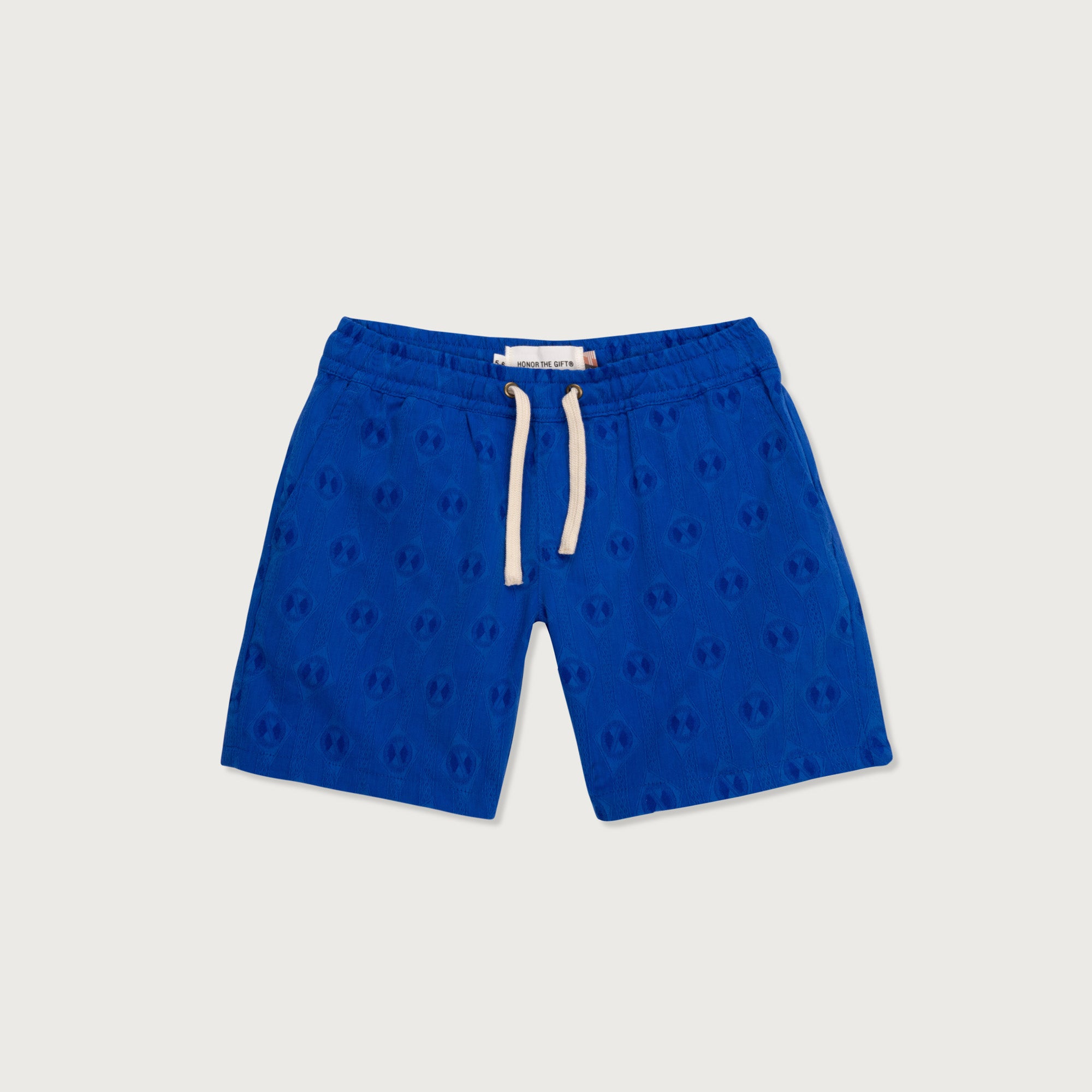Louis Vuitton 3d Monogram Shorts (blue)