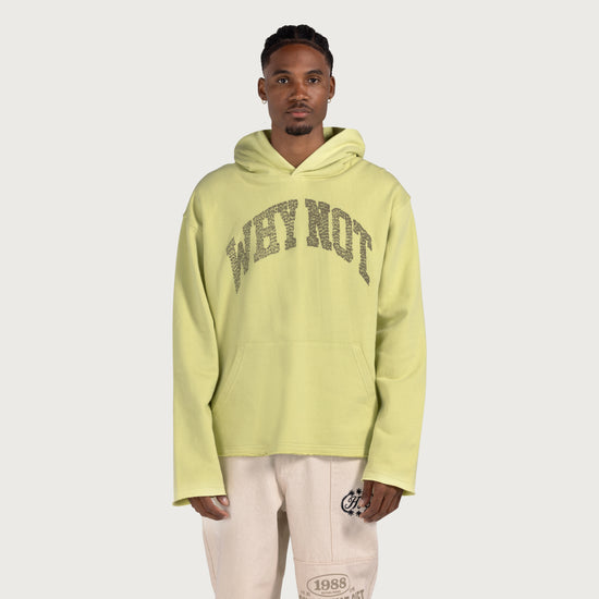 Why Not Hoodie - Green