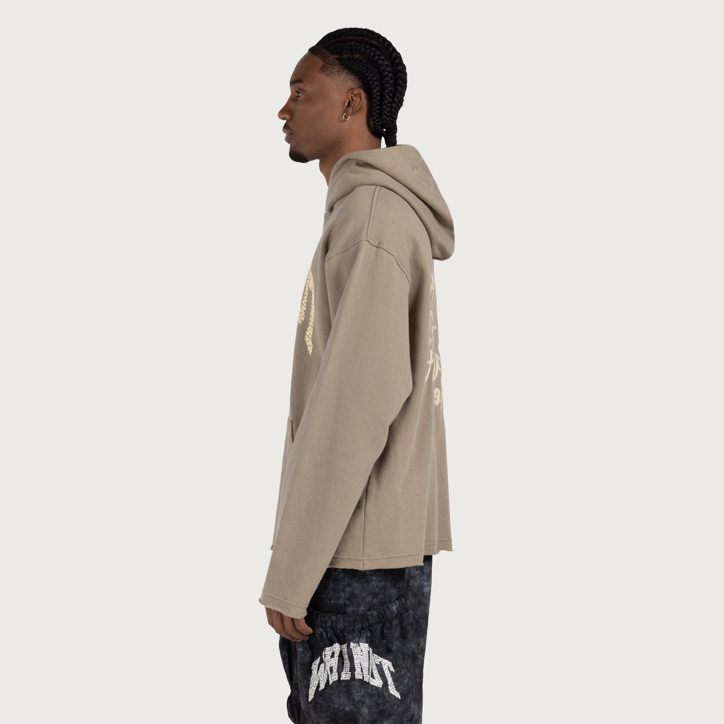 Why Not Hoodie - Taupe