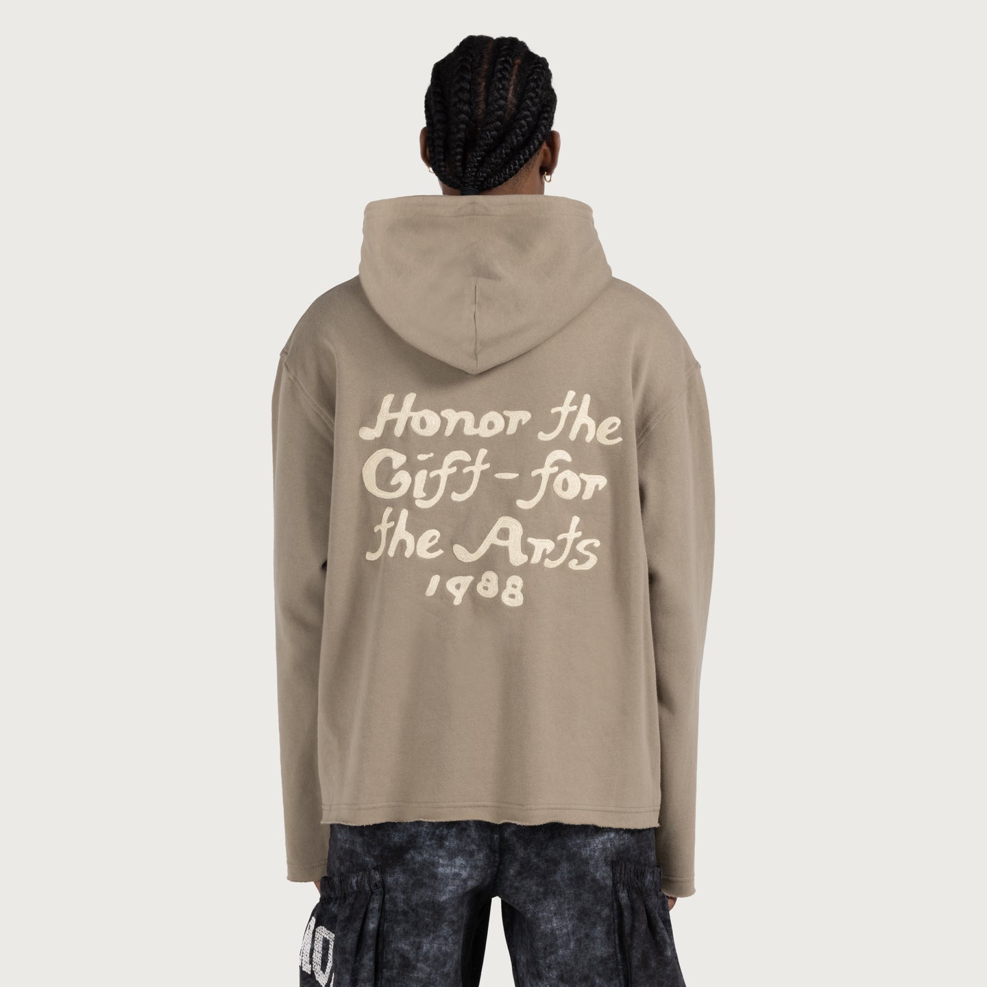 Why Not Hoodie - Taupe