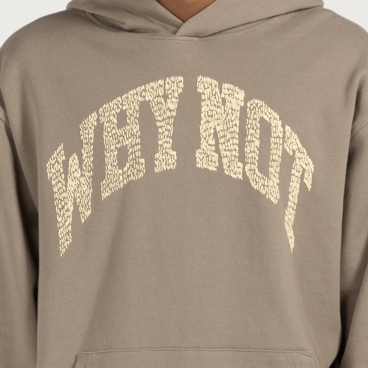 Why Not Hoodie - Taupe