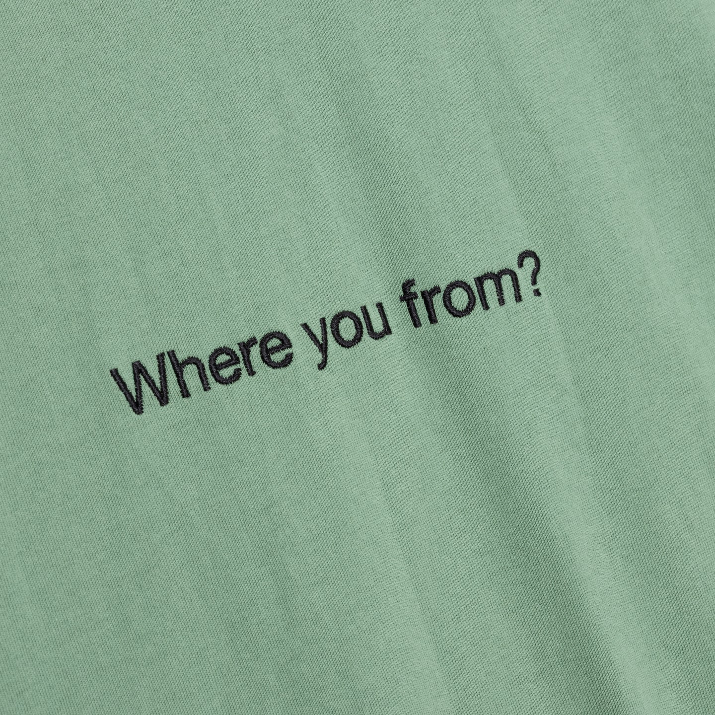 Where You From Tee - Mint