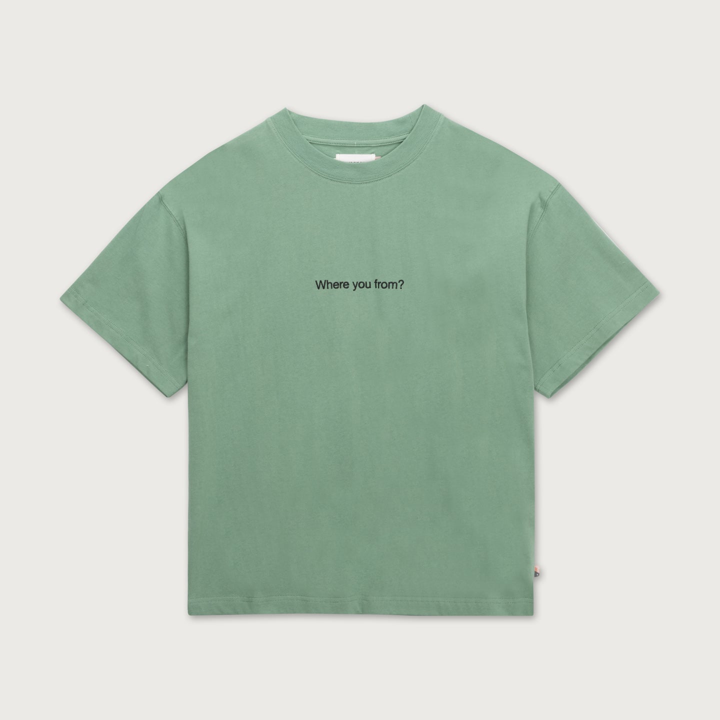 Where You From Tee - Mint