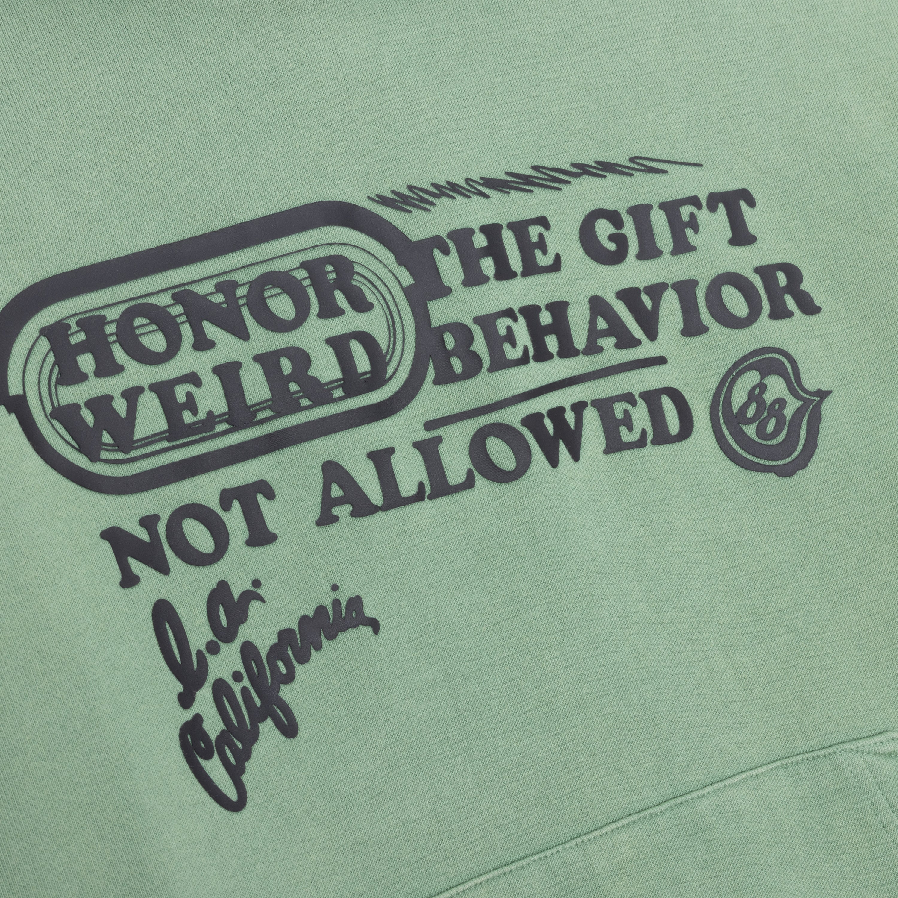 Not Allowed Hoodie - Mint