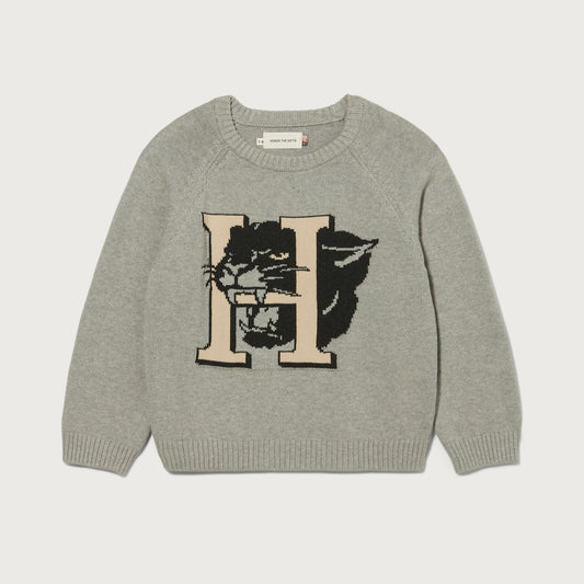 Kids Mascot Sweater - Grey